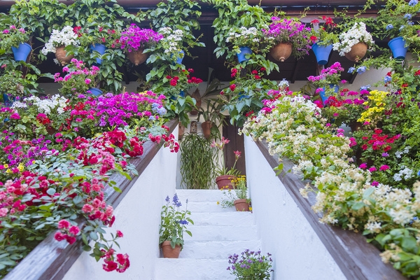 Patios de San Basilio © Michelle Chaplow