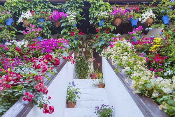 Patios de San Basilio © Michelle Chaplow