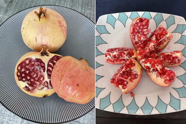 The Pomegranate appears on Granada city's coat of arms © Michelle Chaplow