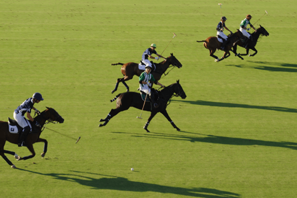 Polo at Los Pinos fields © Michelle Chaplow