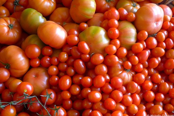Tomatoes, home grown in Andalucia, Spain. © Michelle Chaplow