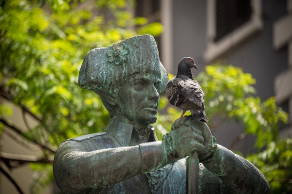 Discover Gibraltar's rich heritage and hidden curiosities at the Tourist Office © Visit Gibraltar 
