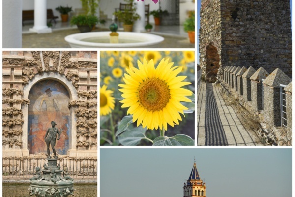 Sevilla province clockwise: Cazalla, Alanis, Utrera, Sevilla and Carmona © Michelle Chaplow