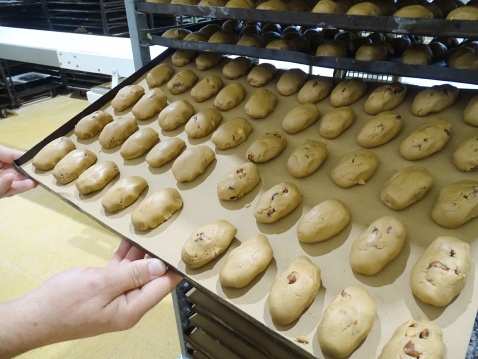 Polvorones about to go in the oven  Photo Fiona Flores Watson