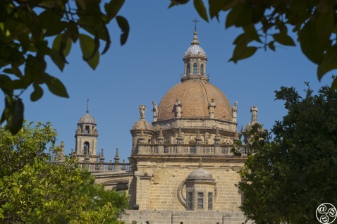 Jerez Cathedral  © Michelle Chaplow