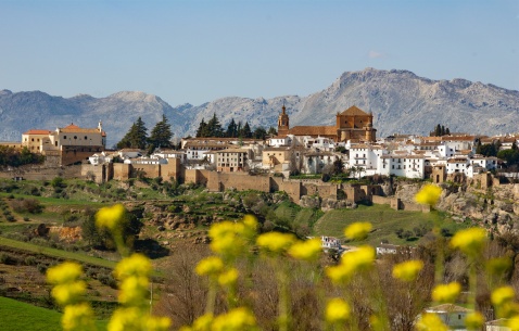 Ronda is one of the most picturesque destinations in Andalucia © Michelle Chaplow