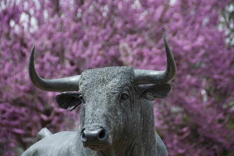 Sculpture to the bull, outside of the Ronda bulling © Michelle Chaplow