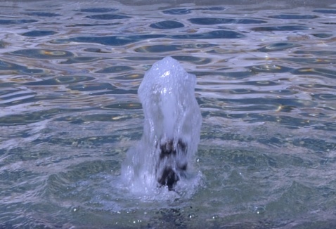 Learn your water vocabulary a - Glossary of water terms in English and Spanish. © Michelle Chaplow