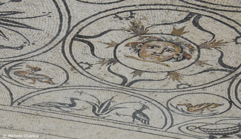 Medusa at Rio Verde Villa  © Michelle Chaplow