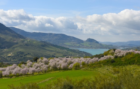 The picturesque village of Zahara de la Sierra © Michelle Chaplow