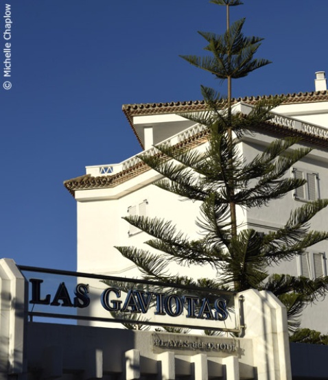 Las Gaviotas