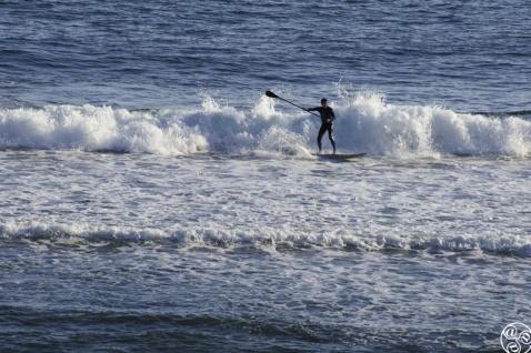 Mediterranean Stand Up Paddleboarding (SUP) Marbella Costa del Sol