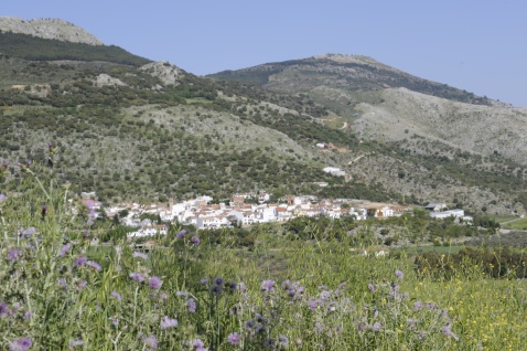 The village of Alfarnatejo in the province of Malaga  © Michelle Chaplow