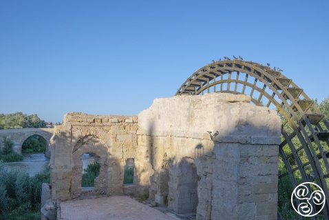 The Albolafia, also known as the Molino de la Albolafia in Spanish ('the Albolafia's mill'), is a medieval noria (or waterwheel) on the Guadalquivir River © Michelle Chaplow