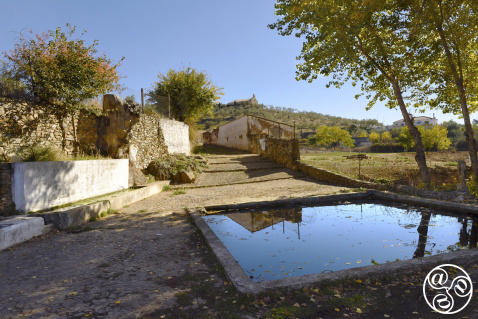The natural spring, Fuente de Pilitas, dates from Arabic times and was once the water source for the village. Now it is used solely for agricultural purposes. (c) Michelle Chaplow 
