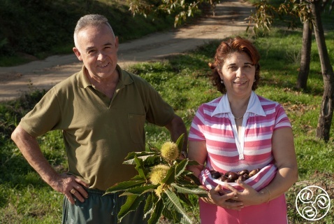 Day trippers Sebastian and Aracile collecting Chestnuts © Michelle Chaplow 