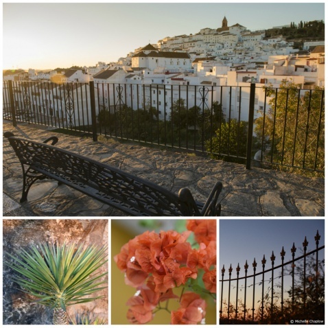 The sun-drenched white village of Alcala del los Gazules © Michelle Chaplow