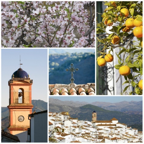 Small and very beautiful, the white village of Algatocin© Michelle Chaplow