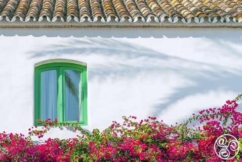 Holiday Rentals in Andalucia © Michelle Chaplow
