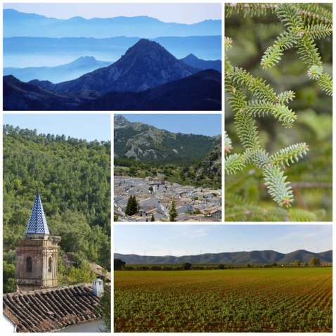The Landscapes of Andalucia.  © Michelle Chaplow