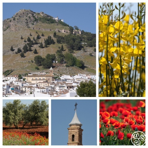 Archidona nestled in the foothills of the Sierra de Gracia © Michelle Chaplow