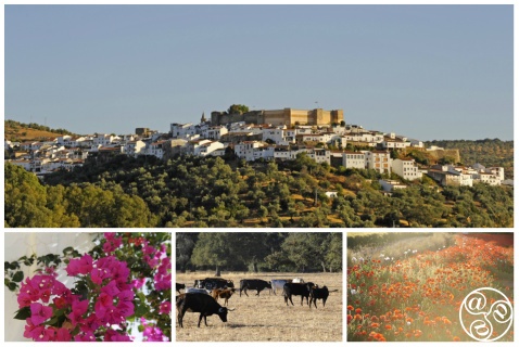 Aroche is a hilltop village, its whitewashed houses flanking the sides of a restored medieval castle. It is surrounded by magnificent countryside rich in wildlife © Michelle Chaplow