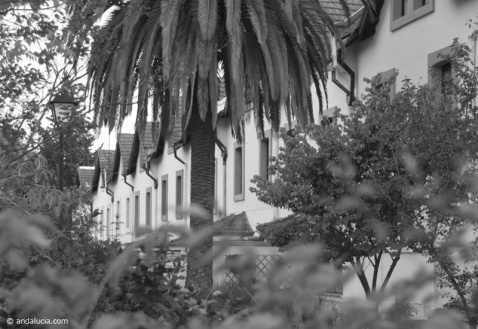  Bella Vista, or the Barrio Ingles 