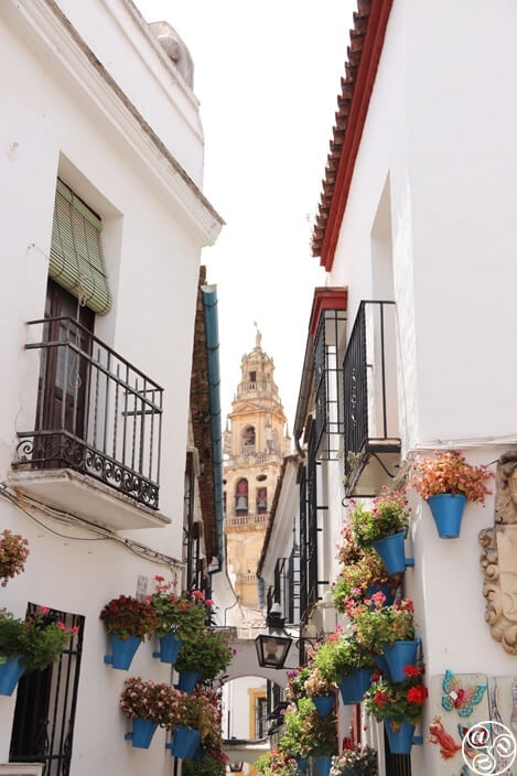 A view down Callejón de las Flores © Max Phythian