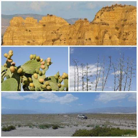 Deserts of Almeria and the mountains of Guadix, Granada. © Michelle Chaplow