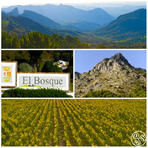 El Bosque is situated at the foot of the Sierra de Grazalema on the banks of the river Majaceite. © Michelle Chaplow