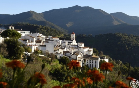 Surround yourself with nature in Genalguacil © Michelle Chaplow