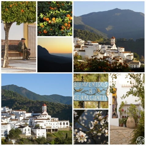 Genalguacil is one white Andalucian mountain village © Michelle Chaplow
