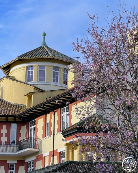 Hotel Reina Cristina in Algeciras Hotel Reina Cristina in Algeciras