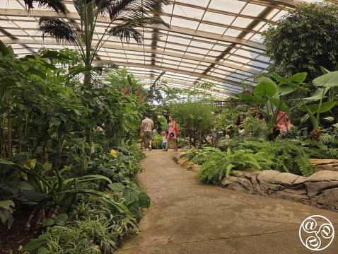 Benalmadena Butterfly Park © Mihnea Gamulescu