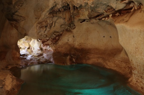 Water flowing from rocks Treasure Cave, Rincón de la victoria © Max Phythian