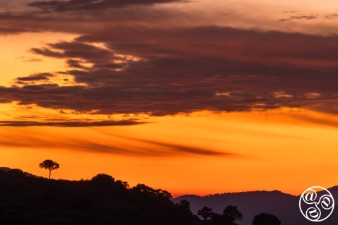 View of the landscape at Sierra Morena during dusk. Sierra Morena, Andújar, Jaén province, Andalucia, Spain. © Marcos G Meider View of the landscape at Sierra Morena during dusk. Sierra Morena, Andújar, Jaén province, Andalucia, Spain. © Marcos G Meider