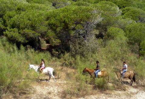 Horse ridding in Bolonia Andalucia  © Michelle Chaplow