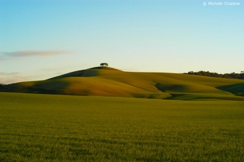The fertile plains, near Arcos de La Frontera, Cadiz. © Michelle Chaplow