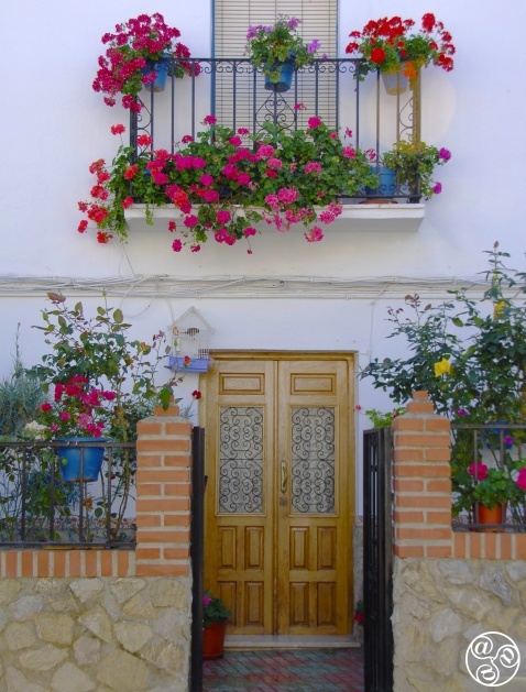 Doorway and flowers in Pujerra