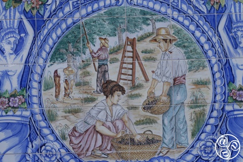 Decorative ceramics, depicting the olive harvest of Rute © Michelle Chaplow