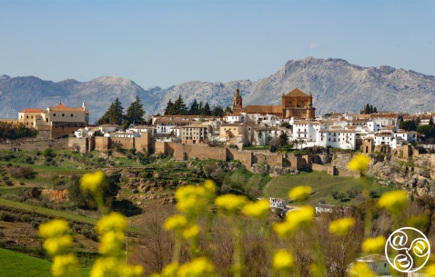 Ronda is one of the most picturesque destinations in Andalucia © Michelle Chaplow