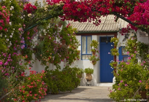 Most beautifully decorated patio contest. © Michelle Chaplow