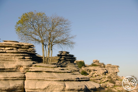 The fascinating shapes of El Torcal, created by erosion over millions of years © Michelle Chaplow