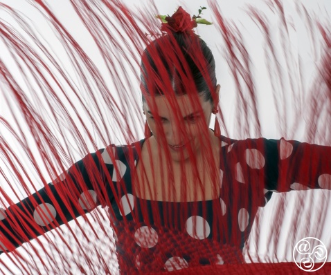 Music and dance from Andalucia. © Michelle Chaplow