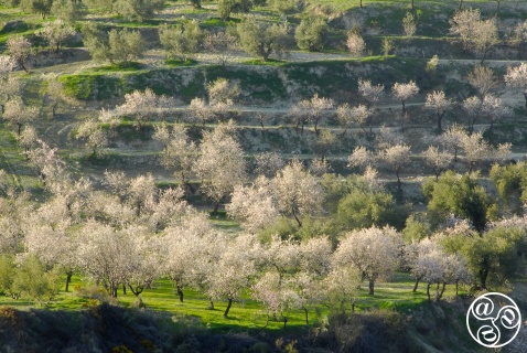 Beautiful landscapes near Beas de Granada © Michelle Chaplow