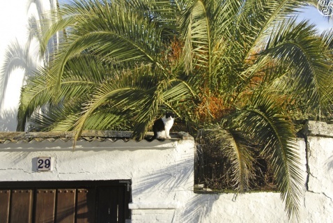 The peaceful streets of Dúdar © Michelle Chaplow