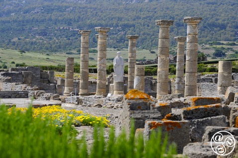 The roman ruins of Baelo Claudio © Michelle Chaplow