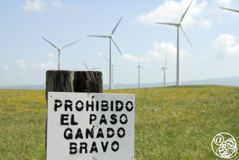 Bull and Horse ranches © Michelle Chaplow