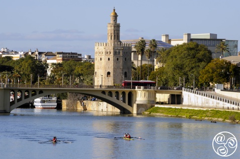 Getting around the majestic city of Seville © Michelle Chaplow
