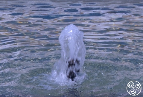 Water Desalination Plants in Andalucia. © Michelle Chaplow